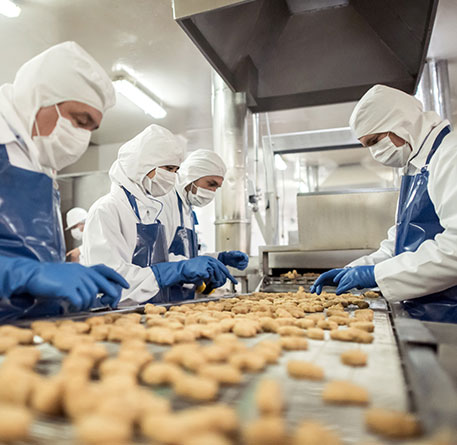 Personen in Schutzkleidung sortieren N&uuml;sse auf F&ouml;rderband in Lebensmittelfabrik